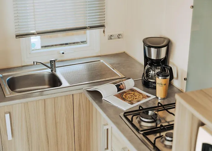 Mobil Avec Terrasse A Saint-jean-de-monts - Api-1-52-1095 * 圣让-德蒙